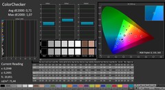 CalMAN: ColorChecker - calibrato