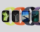 Si prevede che Apple Watch Series 11 raggiunga per la prima volta un'autonomia di 24 ore. (Fonte immagine: Apple)