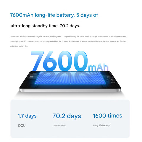 Dettagli della batteria (traduzione automatica)