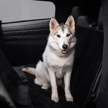 Rivestimento per animali domestici Cybertruck
