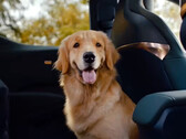 Zeekr X ha sedili pieghevoli elettrici per adattarsi al vostro animale domestico (immagine: Geely)