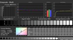 CalMAN: scala di grigi (calibrata)