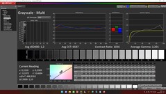 CalMAN: scala di grigi (calibrata)