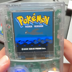 Il Pico-Pal è stato creato per emulare i giochi a 8 bit come Pokémon Argento. (Fonte: Peter Khouly)