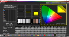 CalMAN ColorChecker (Profilo: Nativo, Spazio colore di destinazione: P3)