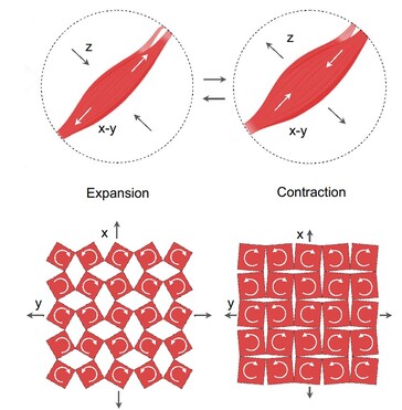 Il patch vocale presenta delle fessure nella membrana magnetica. La flessione durante il discorso crea un segnale elettrico dal movimento delle particelle magnetiche incorporate. (Fonte: articolo di Ziyuan Che et al.)