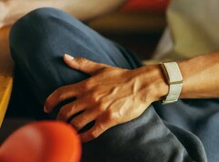 Garmin potrebbe presto presentare un'alternativa al Polar Loop mostrato qui.