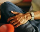 Garmin potrebbe presto presentare un'alternativa al Polar Loop mostrato qui.