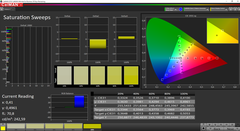 CalMAN saturation sweeps (calibrato)