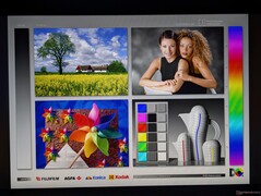 Ampi angoli di visione IPS