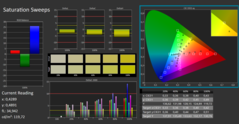 Calman ColorChecker saturazione calibrata