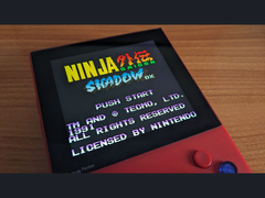 Un'immagine di Ninja Gaiden Shadow DX su X (fonte immagine: Marc Max)