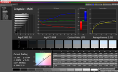 Scala di grigi prima della calibrazione (display touchpad)