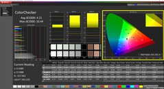 CalMAN ColorChecker (Profilo: Display P3)