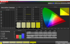 CalMAN Saturazione calibrata