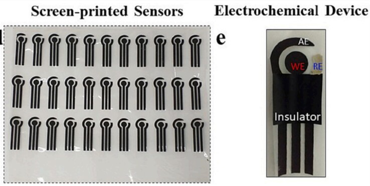 Il sensore indossabile dalle piante è realizzato in acetato di cellulosa biodegradabile (derivato dalla polpa di legno) e carbonio. (Fonte: articolo di S.C. Teixeira et al. in Biomaterials Advances)