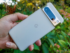 Google sta già fornendo aggiornamenti ai Pixel 8 e Pixel 8 Pro. (Fonte: Notebookcheck)