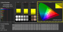 CalMAN: ColorChecker (calibrato)