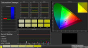 CalMAN: saturation sweeps (calibrato)