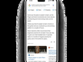 Google Bard può distillare le informazioni per offrire approfondimenti significativi nella ricerca conversazionale. (Fonte: Google)