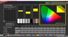 CalMAN ColorChecker (profilo: calibrato, spazio colore di destinazione: P3)