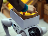 Il robot umanoide T1 in grado di trasformarsi in un cane robot