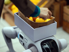 Il robot umanoide T1 in grado di trasformarsi in un cane robot