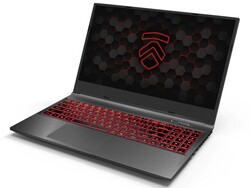 Recensione del Laptop Eluktronics RP-15. Dispositivo di test fornito da Eluktronics