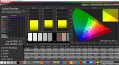 CalMAN: ColorChecker (non calibrato)