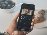 La funzione Diario alimentare dell'App Zepp (nella foto) è stata migliorata. (Fonte: Zepp Health)