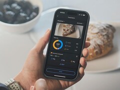 La funzione Diario alimentare dell&#039;App Zepp (nella foto) è stata migliorata. (Fonte: Zepp Health)