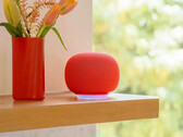 L'altoparlante Google Home in Berry. (Fonte: Google)