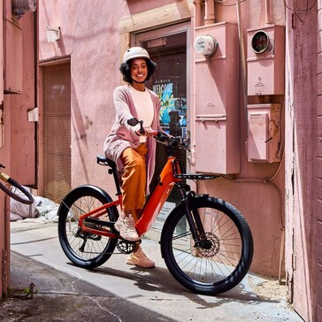 La e-bike Momentum Vida E+ può gestire un carico massimo di 300 libbre (136 kg) (Fonte: Momentum)