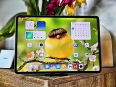 Xiaomi Pad 7S Pro in recensione (Fonte: Marcus Herbbrich)