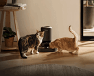 Distributore automatico di cibo per animali Petlibro. Alcuni dispositivi non sono in grado di erogare il cibo a causa dell’interruzione di corrente.