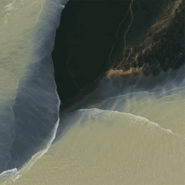 Un primo leak del wallpaper del Pixel 11 Pro Fold mostra il suo look Pine, Tidal Swirl