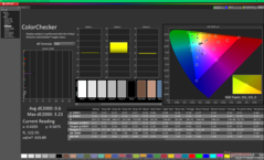 ColorChecker dopo la calibrazione (P3)