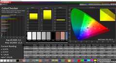 CalMAN ColorChecker calibrato (spazio colore target )