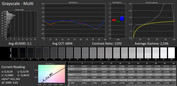 CalMAN Scala di grigi – Optimised Settings