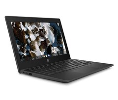 Intel o MediaTek? L&#039;HP Chromebook 11 G9 Education Edition permette agli utenti di decidere (Fonte: HP)