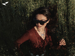 L'Air 4 costa circa 224 dollari in Cina. Nella foto: un'immagine promozionale degli occhiali AR. (Fonte immagine: Rayneo - modificato)