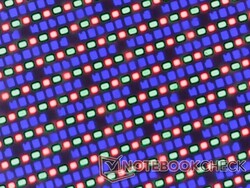 L'array di subpixel OLED lucido è nitido ma leggermente granuloso da vicino