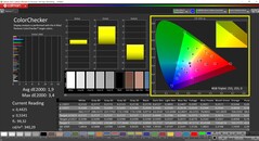 CalMAN ColorChecker (profilo nativo, spazio colore di destinazione P3)