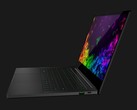 Recensione del Portatile Razer Blade Stealth (i7-8565U, GeForce MX150)