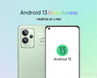 Realme ha un nuovo programma di accesso anticipato. (Fonte: Realme)