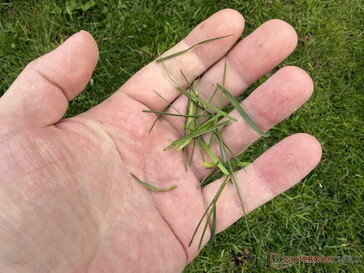 ... di quanto ci aspettassimo dalla funzione mulching pubblicizzata.