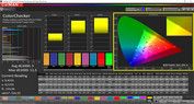 CalMAN precisione del colore – professional sRGB