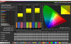 CalMAN - Precisione del colore (standard, standard, sRGB)