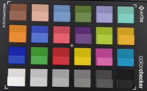 ColorChecker: La metà inferiore di ogni campo mostra il colore di riferimento