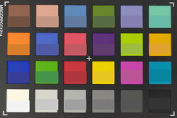 ColorChecker: La metà inferiore di ogni casella rappresenta il colore originale.
